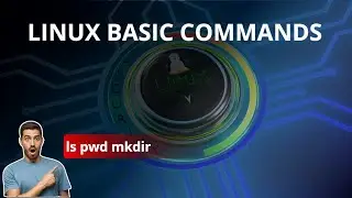 Introduction to Linux and Basic Linux Commands for Beginners | Linux Terminal