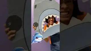 El tiburón tiene un tesoro 🦈 