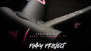 100% Complete Pinky Project