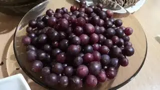 Компот из крыжовника