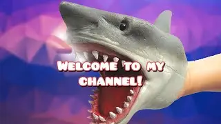 Welcome to That One Shark Puppet