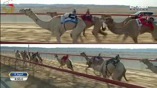 إيذاع للشيوخ - المرموم 3-11-2024 ش8 هملول لـ هجن الرئاسة - سلطان محمد الوهيبي 7:54:8