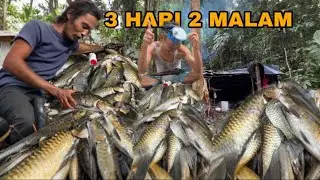 Fishing Camp Adventure  | Bermalam Di Hutan Rimba Mencari Ikan Mahseer ,Cooking
