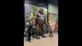 Prehistoric Dinosaurios/Animal Museum and ZOO in USA, Amerika'da dinozor müzesi-Hayvanat Bahçesi