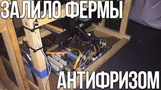 Залило фермы антифризом. Человеческая тупость или случайность?!
