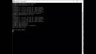 Linux 89 (Input and Output Of Script)