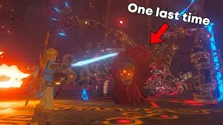 Breath of the Wild - One final look