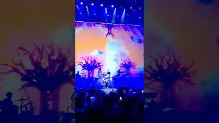 Tash Sultana - 4. Live at Festival Hera 2024