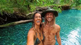 Daintree's Hidden Wonders