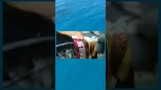 Я и моя удача 😂