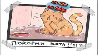 Покорми кота он голоден