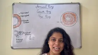 Annual Ring | Spring Wood | Autumn Wood | Anticlinal division | Periclinal Division | NEET