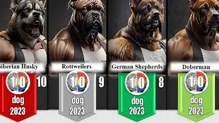 top 10 most dangerous dogs in the world [2023]