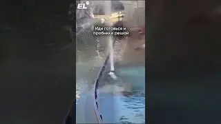 Вселенная говорит с тобой! Подписывайся,чтобы сдать ЕГЭ 🥲 