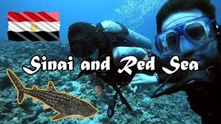 Egypt Sinai : Colored Desert and Diving paradise