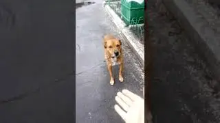 День рождения Атоса