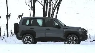 Косули машины не испугались, а от меня убежали || The roe deer were not afraid of the car
