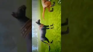 мой парень в мистике