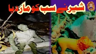 رات کا وقت تھا | شير کا حملہ ہو گیا😮😮
