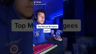 Top Mouse Bungees | Part 1