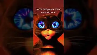 МЕМ СФС