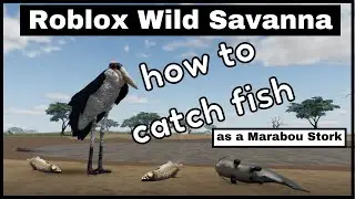 Roblox Wild Savanna  | How to catch fish | Marabou Stork - FISHING GUIDE