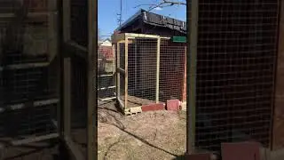 Курятник на даче своими руками