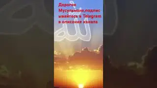 Аллах велик: подпишись в Телеграмм канал ,в описание канала: