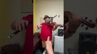 Arkansas Traveler Spiccato