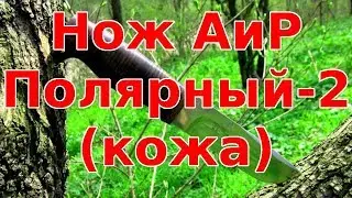Нож АиР Полярный-2 (кожа)