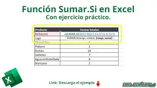 Cómo utilizar la función Sumar.Si | Sumar.Si | Link descarga ejercicio