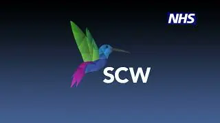 Introducing NHS SCW