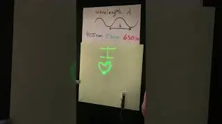 Fun Phosphorescence Physics  