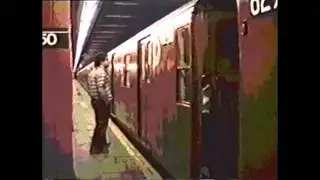 Orquesta Palenque - El Provinciano