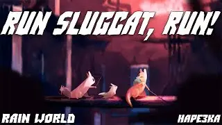 Run Slugcat, Run! - (Rain World, нарезка)