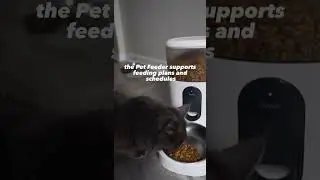 What can you do with the Smart Pet Feeder C1?