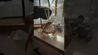 Артикул wb: 176979636 