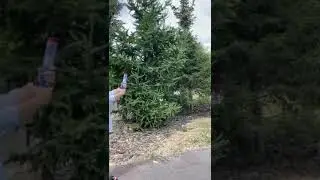 см015 девочка