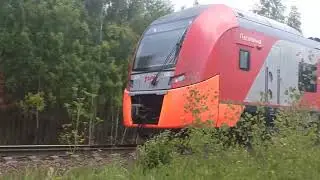 Пассажирские поезда на участке Берёзки - о.п. 648 км
