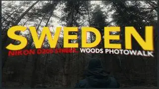Eerie Sweden - Photowalk in the woods