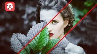 KineMaster Tutorial_|_New Effect On PICTURE_|_TECHNO SAJIB & VLOG