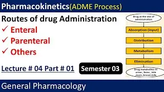 Pharmacokinetics | Drug Routes | Drug Administration | General Pharma |Lecture 4 Part 1| Semester 03