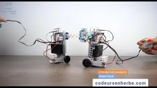 Vidéo découverte codeursenherbe.com (Algora Nancy)