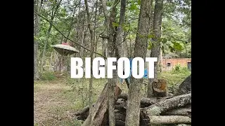 Bigfoot Themed Paintball Game, Strasburg VA