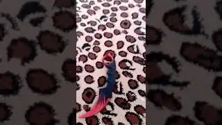 Я СКАЧАЛ ЧИТЫ