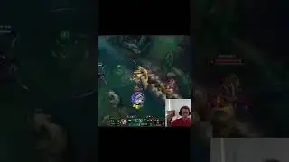 Braum Support 