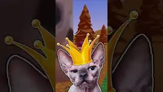 💯✔😲 Новые Лайфхаки Для Шлёпы в Роблокс 