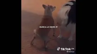 11 de noviembre de 2021