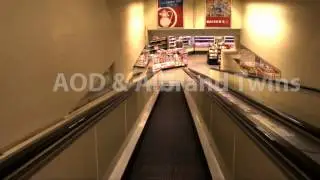 Kotti_Insekten