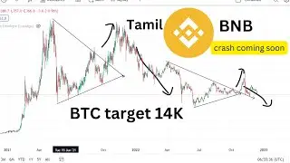 Warning!!!!!!  BNB crash| Bitcoin goes 14K | Cryptocurrencytamil | Bitcointamil |Crypto Jungle